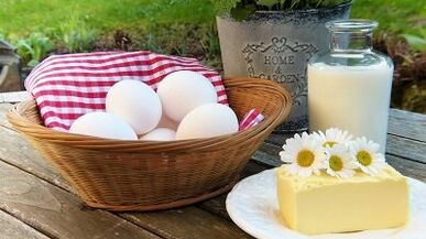 Reglas sentadas sobre una dieta de proteínas